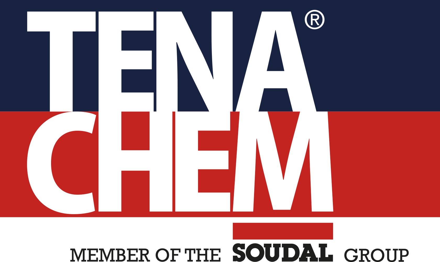 TENACHEM SIA - Prakse
